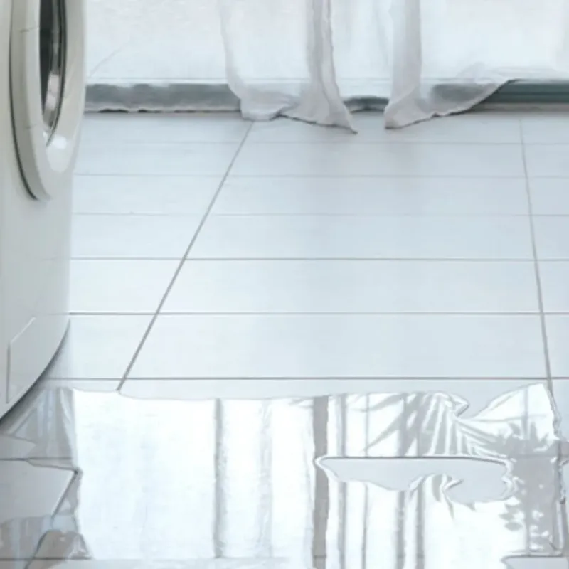 Appliance Leak Cleanup in Peach County, GA