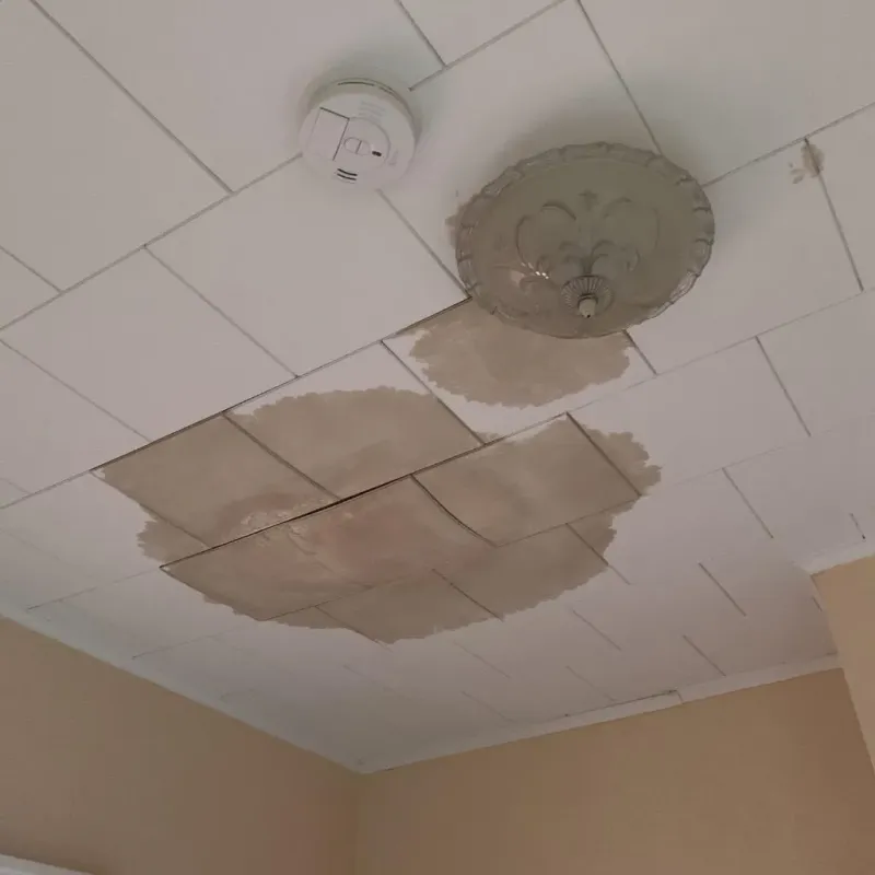 Ceiling Water Damage Repair in Peach County, GA
