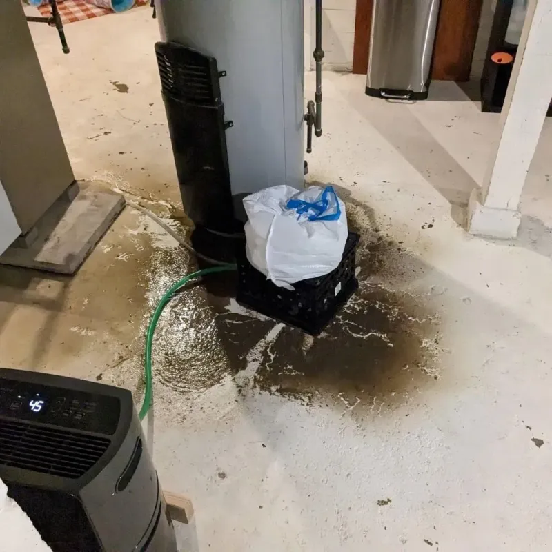 Sewage Backup Cleanup Service in Peach County, GA